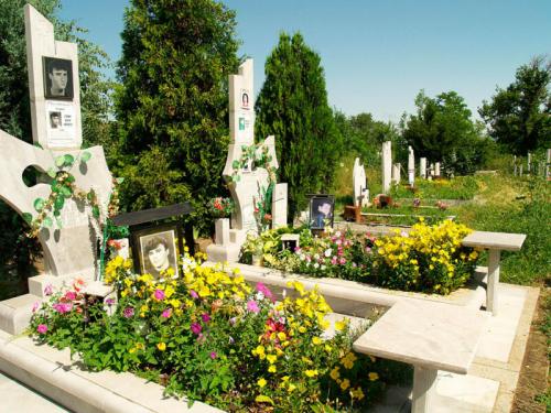 Низкорослые многолетние цветы для могилы. Растения на могиле