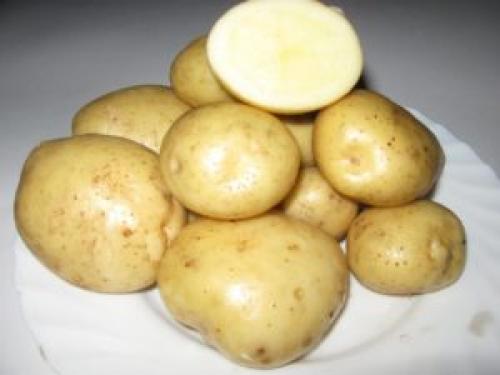 Внешний вид картофеля Адретта. Описание сорта картофеля Адретта