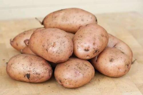Жуковский сорта картофеля. Картофель Жуковский: описание и основные характеристики сорта