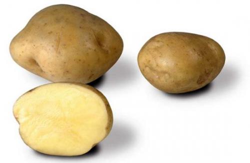 Сорт картофеля супер ранний. Лучшие ультраранние сорта