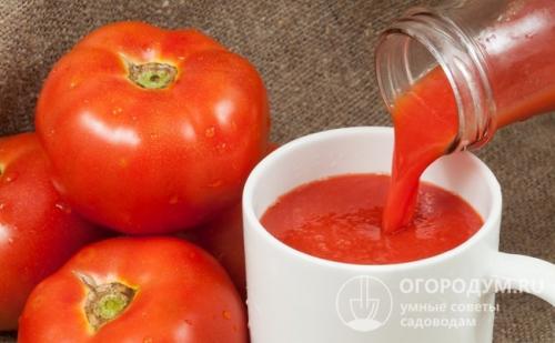 Сорт любаша помидоры. Происхождение и описание сорта
