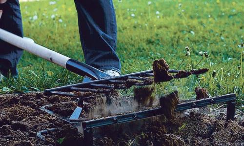 Какие растения можно использовать для создания мавританского газона в условиях с низким содержанием соли в почве Какие растения можно использовать для создания мавританского газона в условиях с низким содержанием соли в почве