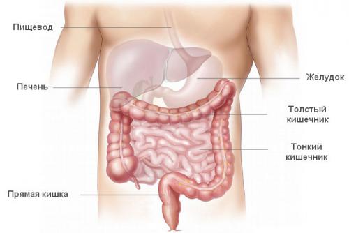 Можно ли очищать кишечник от шлаков самостоятельно без медицинской помощи