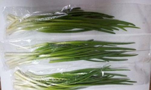 Как хранить лук в холодильнике. Как хранить, чтобы зелень, как можно дольше оставалась сочной?