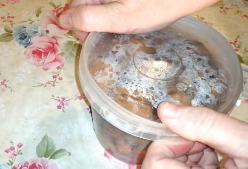 Как прорастить грецкий орех в воде. Как прорастить грецкий орех для посадки на даче: самый простой способ с помощью воды