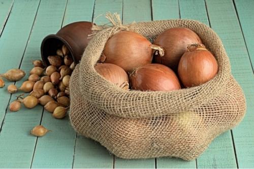 Хранение лука в домашних условиях. Способы хранения 05