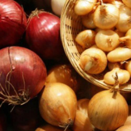 Как хранить лук зимой на балконе. Как хранить лук зимой