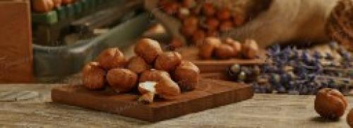 О размножении фундука для начинающих. Подбор сортов по региону 07 О размножении фундука для начинающих. Подбор сортов по региону 07