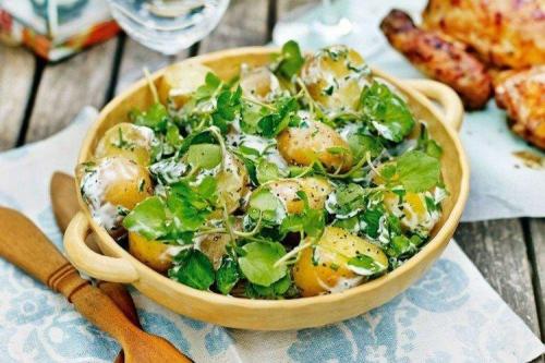 Какие рецепты можно приготовить из картофеля, выращенного на майские праздники. Как приготовить молодую картошку: 20 самых вкусных рецептов