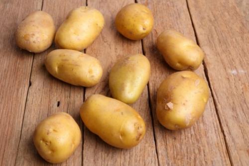 Сорт Адретта картошка. Описание и характеристика сорта