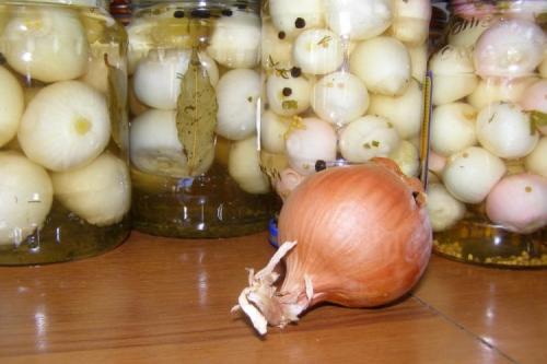 Как мариновать или солить лук для длительного хранения. Маринованный лук на зиму: 15 простых рецептов приготовления
