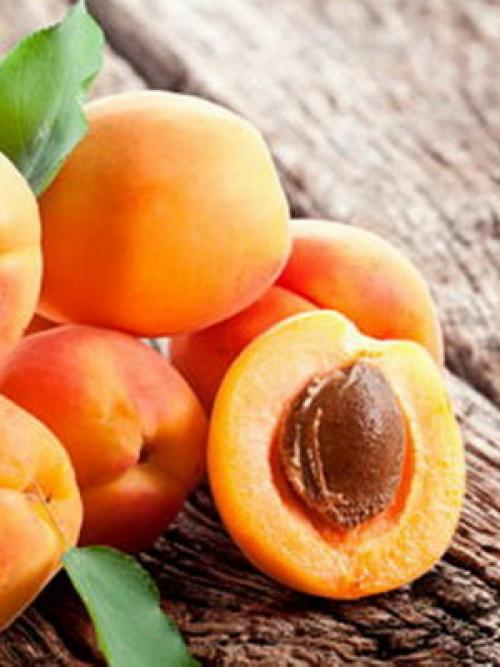 22 лучших сортов абрикосов на любой вкус.. Манитоба 21 22 лучших сортов абрикосов на любой вкус.. Манитоба 21