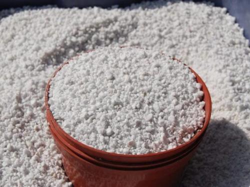 Хранение георгин зимой в песке. В каких условиях и в чём можно хранить клубни в квартире или частном доме