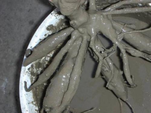 Как подготовить георгины к хранению на зиму. В каких условиях и в чём можно хранить клубни в квартире или частном доме