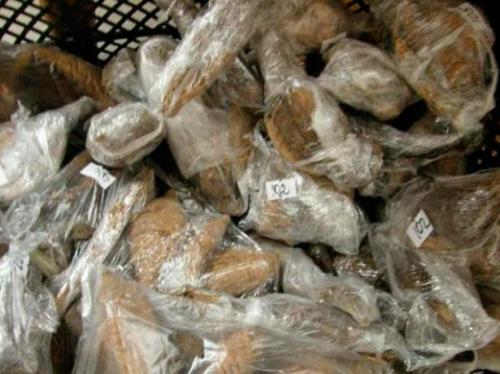 Как подготовить георгины к хранению на зиму. В каких условиях и в чём можно хранить клубни в квартире или частном доме