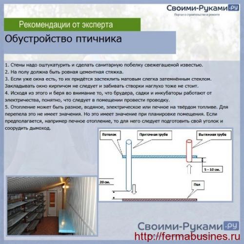 Содержание перепелов без отопления. Клетки для перепелок. Содержание и разведение перепелов зимой.