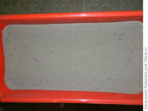 Где хранить клубни георгин зимой. Зимнее хранение георгинов