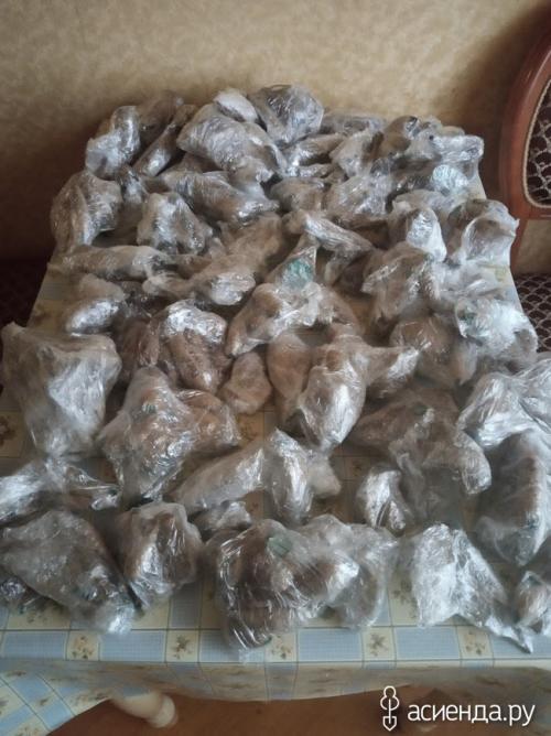 Хранение георгин в пищевой пленке. Хранение клубней георгины в пищевой пленке