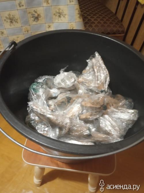 Хранение георгин в пищевой пленке. Хранение клубней георгины в пищевой пленке