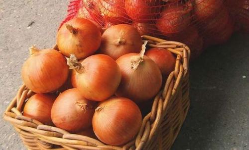 Как хранить лук в частном доме. Хранение в помещении