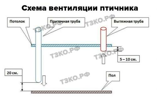 Разведение перепелов в подсобном хозяйстве: основы и секреты успеха 03 Разведение перепелов в подсобном хозяйстве: основы и секреты успеха 03
