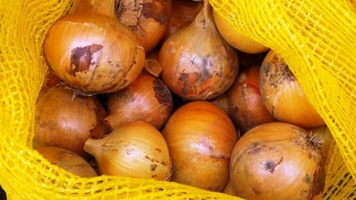 Как хранить лук севок в квартире. Пошаговое руководство, как сохранить лук севок до весны в домашних условиях