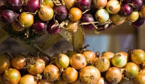 Как хранить лук, чтобы не прорастал. Как хранить лук не правильно