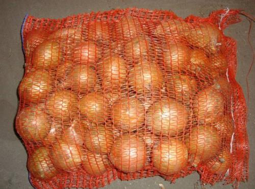 Какой лук лучше хранить долго. Сорта репчатого лука для длительного хранения 03