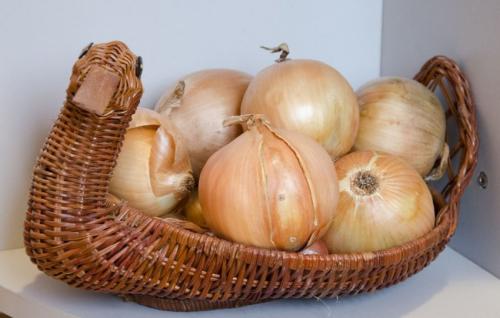 Какой лук лучше хранить долго. Сорта репчатого лука для длительного хранения 01