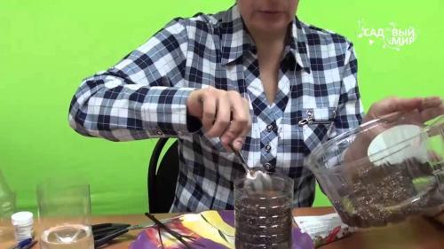 Как рассадить спирею осенью. Семенами 13