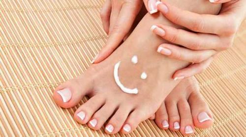 Монарда: лечебные свойства. Лечебные свойства монарды(бергамота) и применение в народной медицине