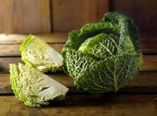 Виды и сорта капусты. Белокочанная 10