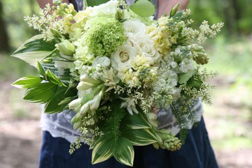 Хоста лилия. Описание