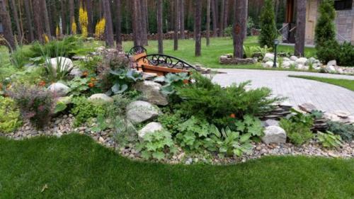 Удивительная Хоста на даче. Хоста в ландшафтном дизайне (30 фото): лучшие композиции с хостой