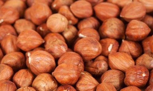 Какие полезные свойства фундука делают его ценным продуктом. Польза фундука