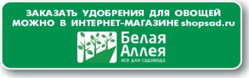 Вкус сезона: первая картошка на столе 01 Вкус сезона: первая картошка на столе 01