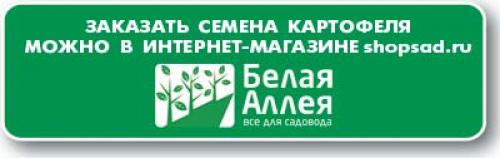 Вкус сезона: первая картошка на столе 02 Вкус сезона: первая картошка на столе 02