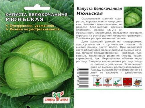 Самая неприхотливая капуста. Семена капусты белокочанной, лучшие сорта для открытого грунта с описанием и фото