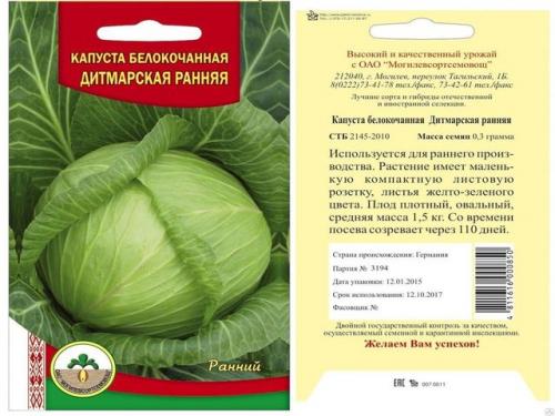 Самая неприхотливая капуста. Семена капусты белокочанной, лучшие сорта для открытого грунта с описанием и фото