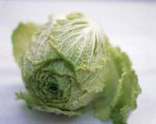 Разновидности, какой бывает капуста. Виды капусты с описанием каждого сорта