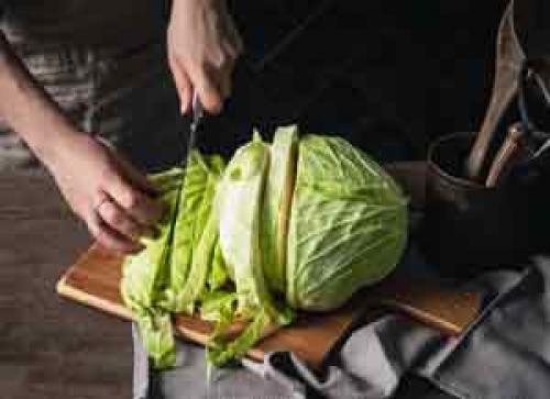 Разновидности, какой бывает капуста. Виды капусты с описанием каждого сорта