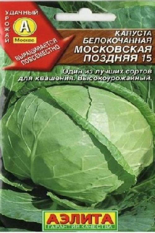 Лучшие сорта капусты для засолки и квашения. Лучшие традиционные сорта капусты для засолки и квашения 02