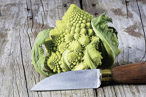 20 лучших сортов капусты. Для засолки и хранения 05 20 лучших сортов капусты. Для засолки и хранения 05