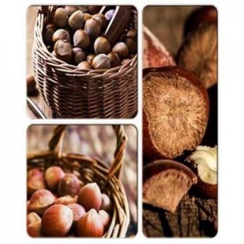 Какие ошибки при уходе за фундуком могут привести к снижению урожайности. Саженцы фундука: какие ошибки нужно избежать при их посадке и уходе