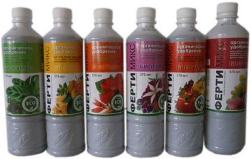 Какие удобрения использовать для ежевики. Какие удобрения использовать