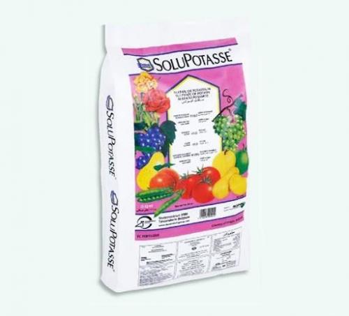 Какие удобрения использовать для ежевики. Какие удобрения использовать