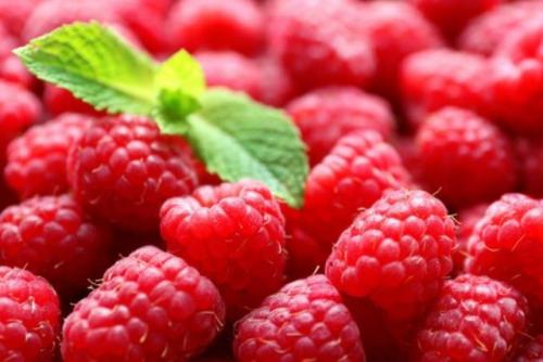 Лучшие сорта ремонтантной малины. Ремонтантные сорта малины на 2021 год