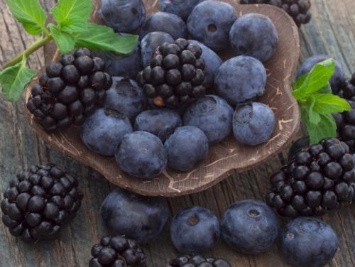 Как правильно посадить ремонтантную ежевику. Лучшие варианты ремонтантной ежевики для Подмосковья и средней полосы