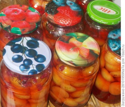 Каков вкус и текстура плодов Штрифель Красного. Штрифель, или Осеннее полосатое яблоко