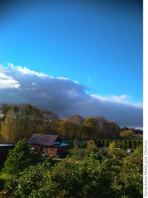 Малина ремонтантная сорта обсуждение. Ремонтантная малина. Как сорта подбирала